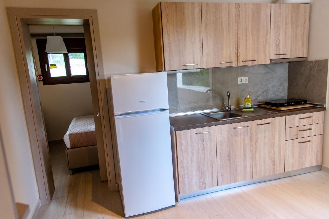 Villa Diamantis Apartments ハニオティス エクステリア 写真